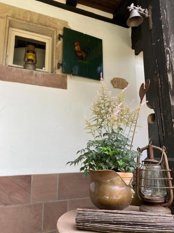 La Ferme De Grand Mere Furchhausen 外观 照片